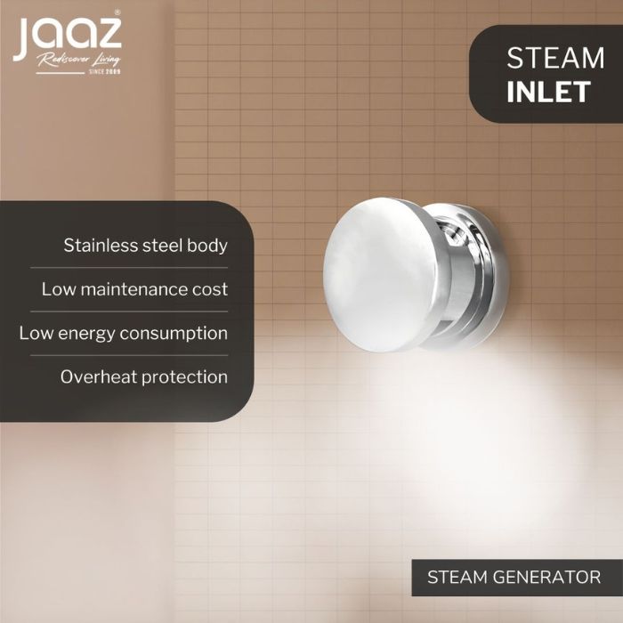 Steam Generator - 4.5KW