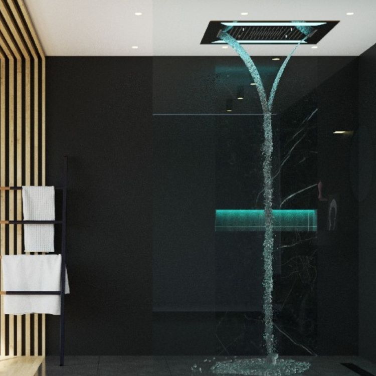 MultiFunction Shower